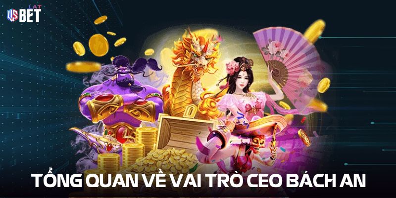 Tổng quan về vai trò CEO Bách An